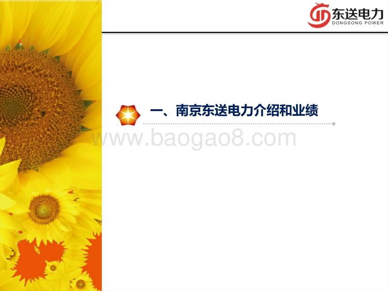 战海波 分布式光伏工程管理.pdf_第3页