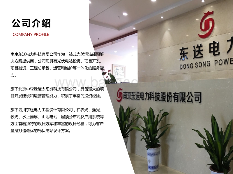 战海波 分布式光伏工程管理.pdf_第4页
