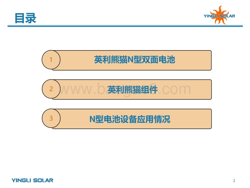 3 N型双面电池技术现状及设备应用20170414-使用.pdf_第2页