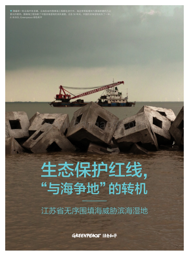 生态保护红线，“与海争地”的转机——江苏省无序围填海威胁滨海湿地.pdf_第1页