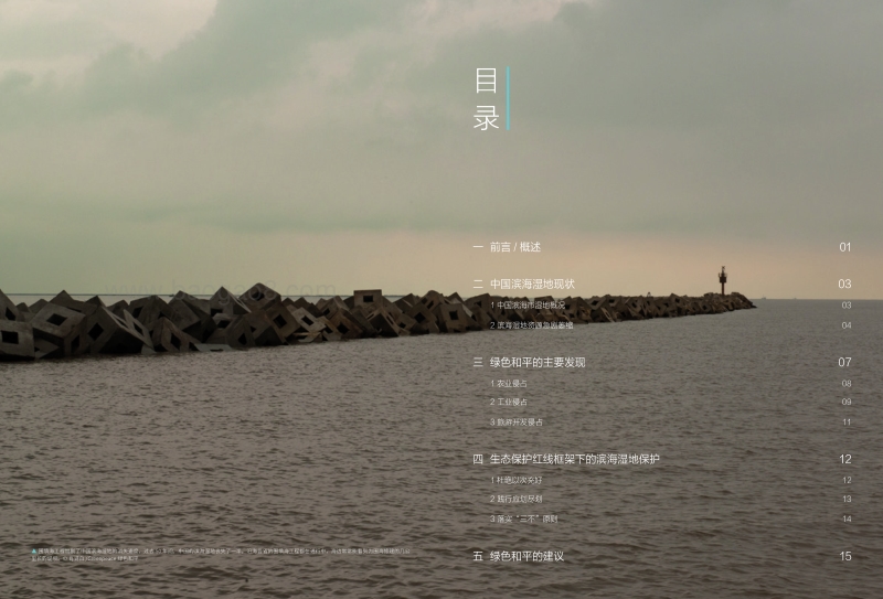 生态保护红线，“与海争地”的转机——江苏省无序围填海威胁滨海湿地.pdf_第2页