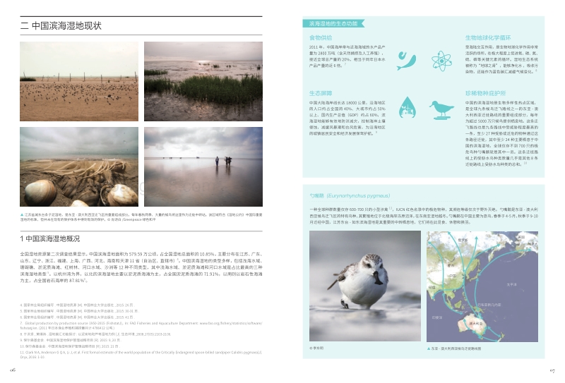生态保护红线，“与海争地”的转机——江苏省无序围填海威胁滨海湿地.pdf_第5页