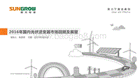 11阳光-2016年国内光伏逆变器市场回顾及展望.pdf