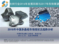 8马海天-2016年多晶硅市场回顾及展望.pdf