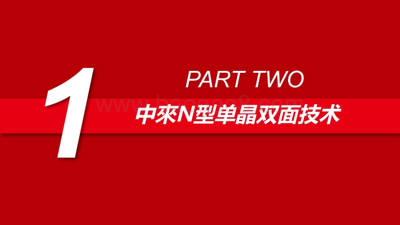 杨智 中来N型单晶双面技术在分布式的应用.pdf_第3页