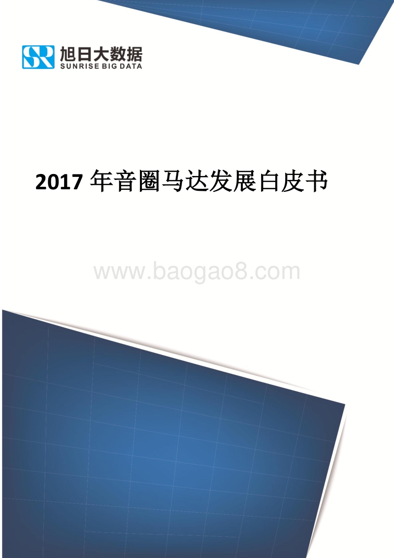 2017年音圈马达发展白皮书.pdf_第1页