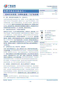 瓷砖行业深度：品牌的盛宴，“大”快朵颐.pdf