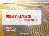 黑硅+金刚线是多晶的未来技术路线.pdf
