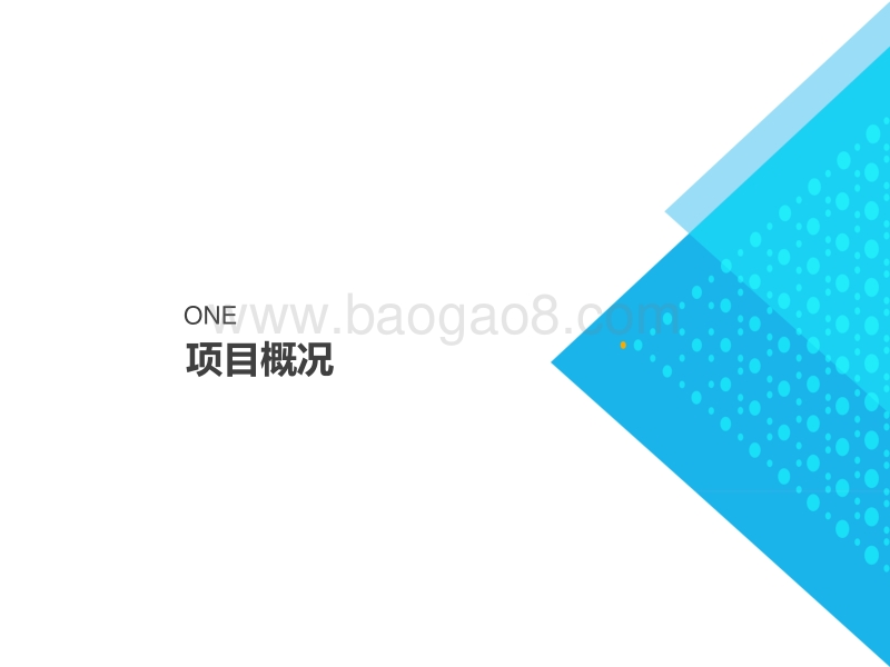 中国广核新能源山西公司 李嘉宸 大同领跑者项目运维经验分享.pdf_第3页
