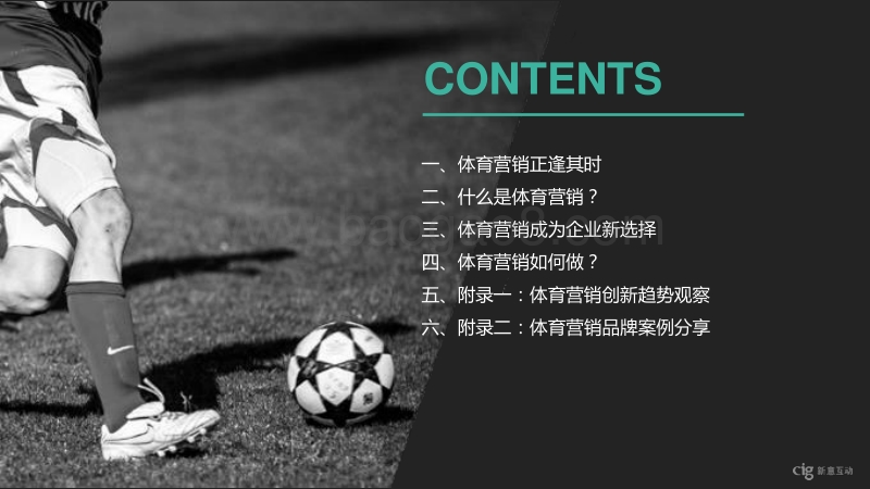 2018体育营销课题研究报告.pdf_第2页