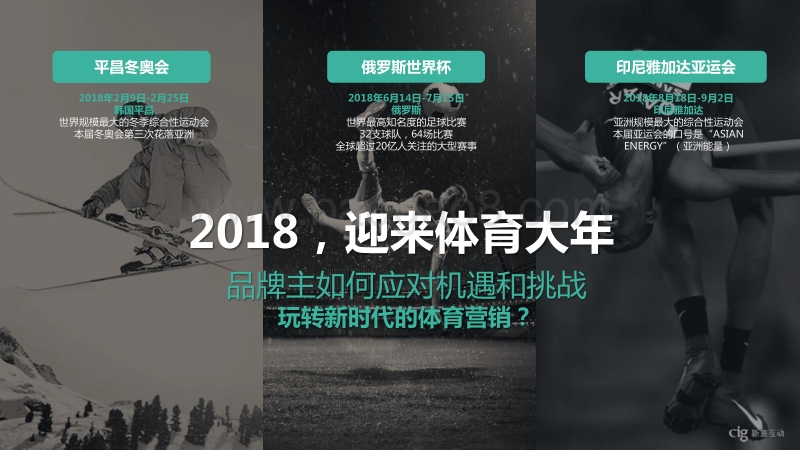 2018体育营销课题研究报告.pdf_第3页