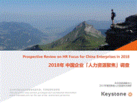 2018年中国企业人力资源聚焦报告.pdf