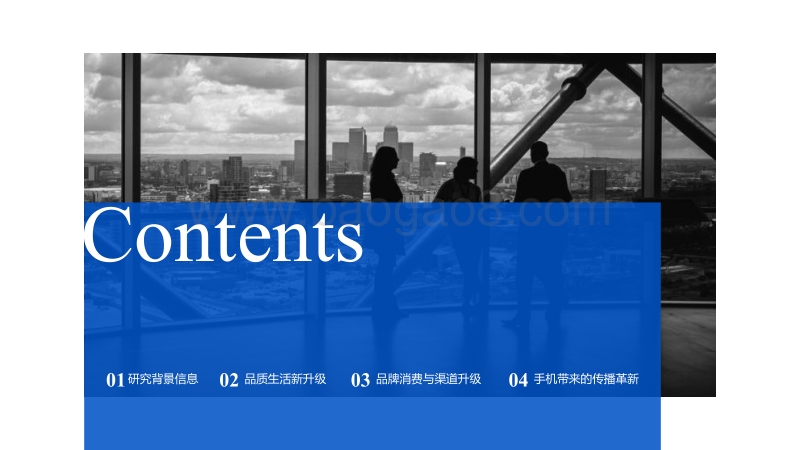 2017年中产阶层研究报告.pdf_第2页