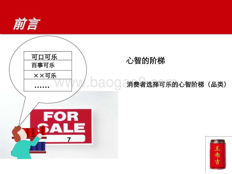 成美提案：《红罐王老吉品牌定位报告》.pdf_第3页