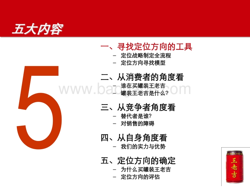 成美提案：《红罐王老吉品牌定位报告》.pdf_第5页