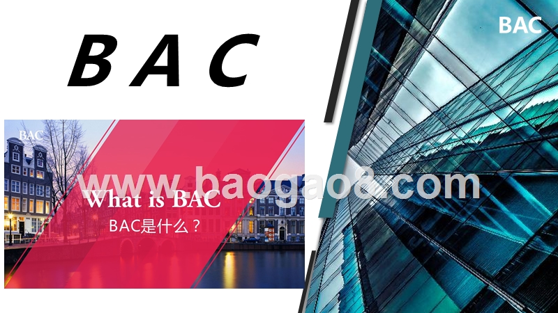 BAC积分推广计划.pptx_第1页