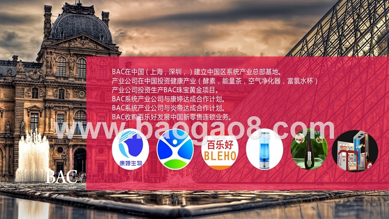 BAC积分推广计划.pptx_第4页