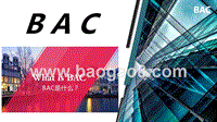 BAC积分推广计划.pptx