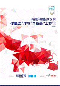 2017消费升级指数观察.pdf