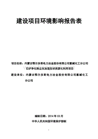 XX电力冶金股份有限公司环境影响评价报告表.pdf