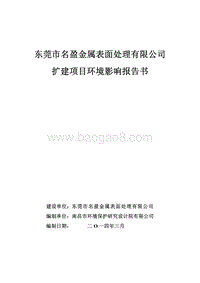 XX金属表面处理有限公司环境影响评价报告书 (2).pdf