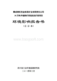 XX矿业公司环境影响评价报告书.pdf