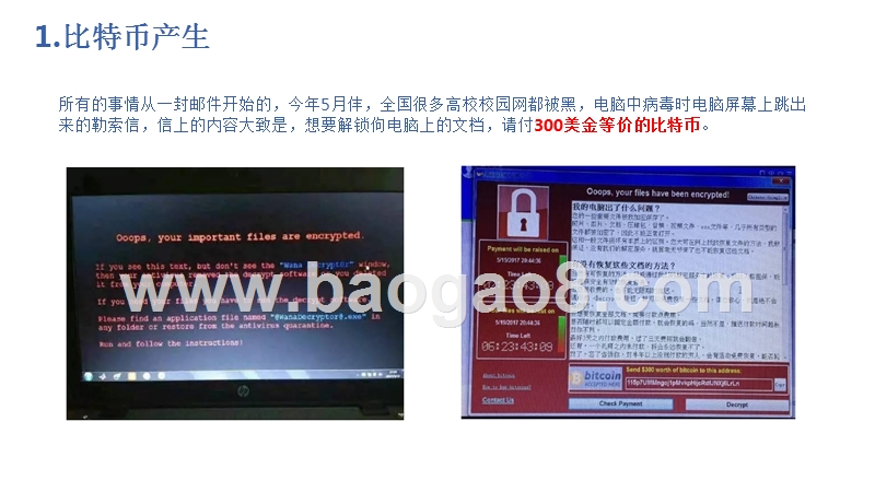 关于比特币行业研究报告.pptx_第2页