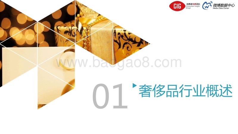 2017 微博奢侈品行业报告.pdf_第4页