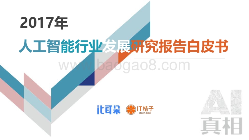 2017年人工智能行业发展研究报告白皮书.pdf_第1页