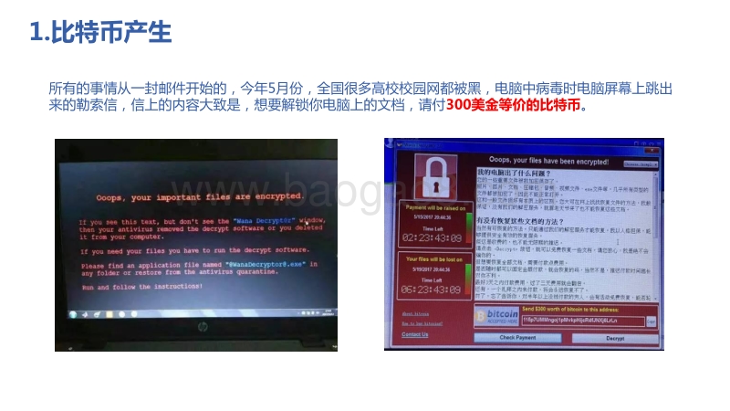 比特币行业研究报告.pdf_第2页