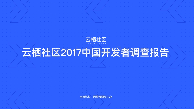 2017中国开发者调查报告.pdf_第1页