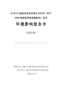 XX造纸化学品公司环境影响评价报告书.doc
