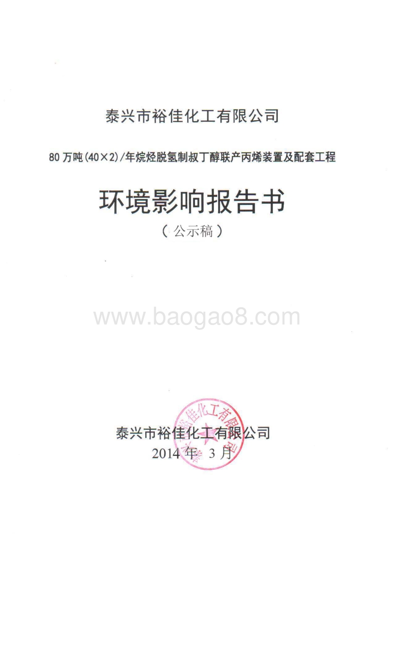 XX化工公司环境影响评价报告书.pdf_第1页