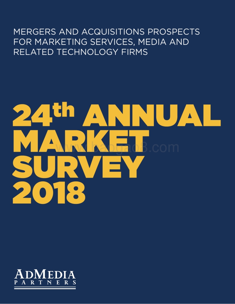 2017年营销调查报告.pdf_第1页