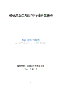 核桃深加工项目可行性研究报告.doc