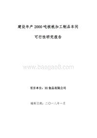 年产2000吨核桃加工制品车间可行性研究报告.doc