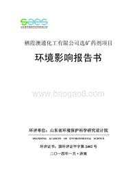 XX市 化工有限公司选矿药剂项目环评环境影响报告书.pdf