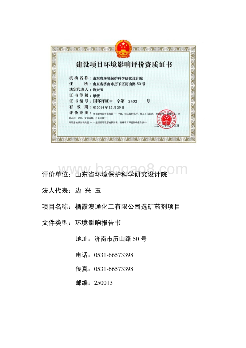 XX市 化工有限公司选矿药剂项目环评环境影响报告书.pdf_第2页