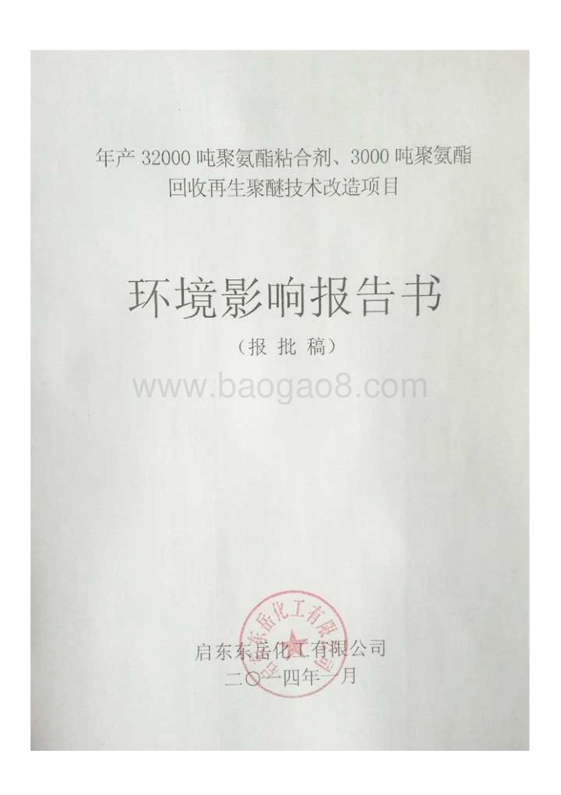 XX市 化工石化医药 化工有限公司改造项目环境影响报告书.pdf_第1页