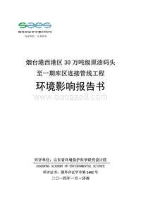XX市西港区码头连接管线工程环境影响报告书.pdf