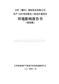 年产1000吨四氧化三钴项目环境影响报告书.pdf