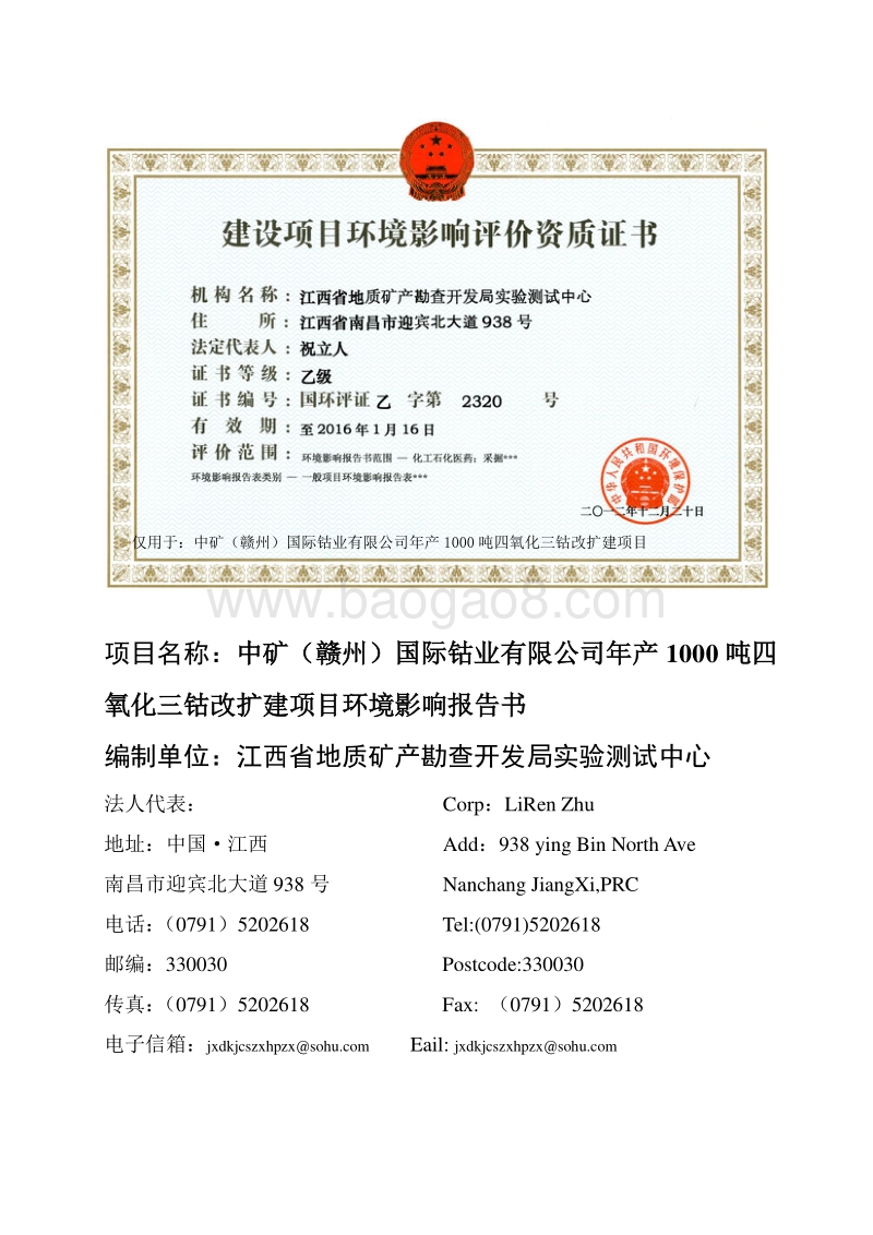 年产1000吨四氧化三钴项目环境影响报告书.pdf_第2页