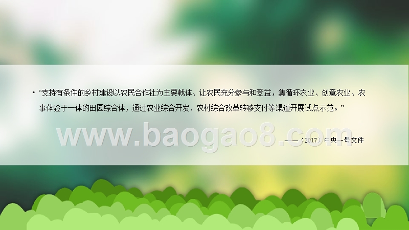 2018-2019田园综合体规划实施方案.pptx_第4页