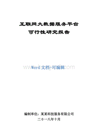 互联网大数据服务平台可行性研究报告.docx