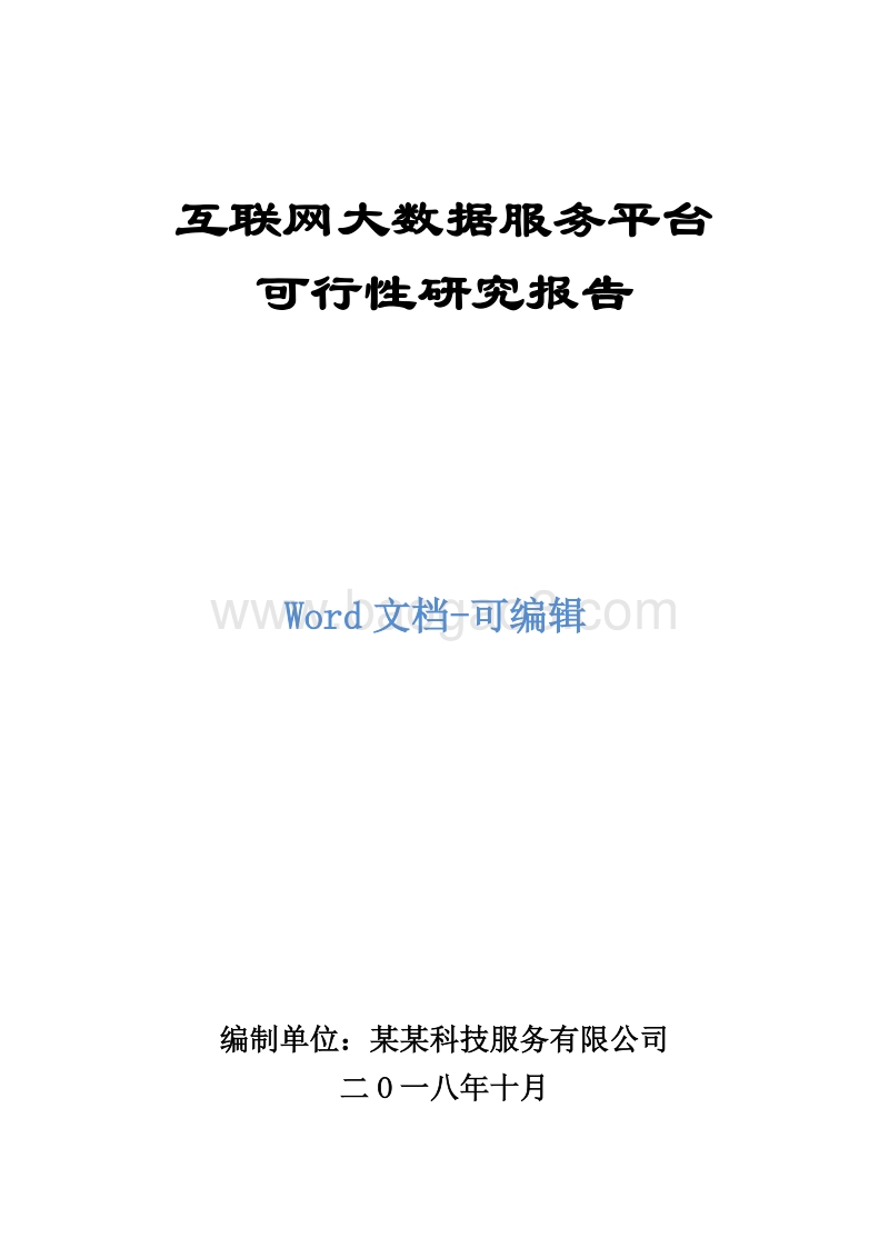 互联网大数据服务平台可行性研究报告.docx_第1页