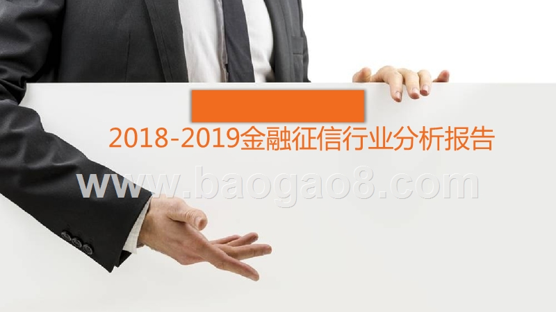 2018-2019金融征信行业分析报告.pptx_第1页
