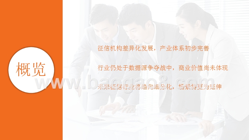 2018-2019金融征信行业分析报告.pptx_第2页