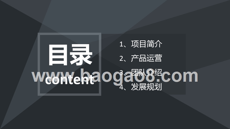 2018年健康大数据服务平台商业计划书.pptx_第2页