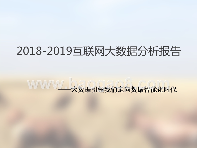 2018-2019互联网大数据分析报告.ppt_第1页