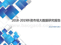 2018-2019外资市场大数据研究报告.pptx